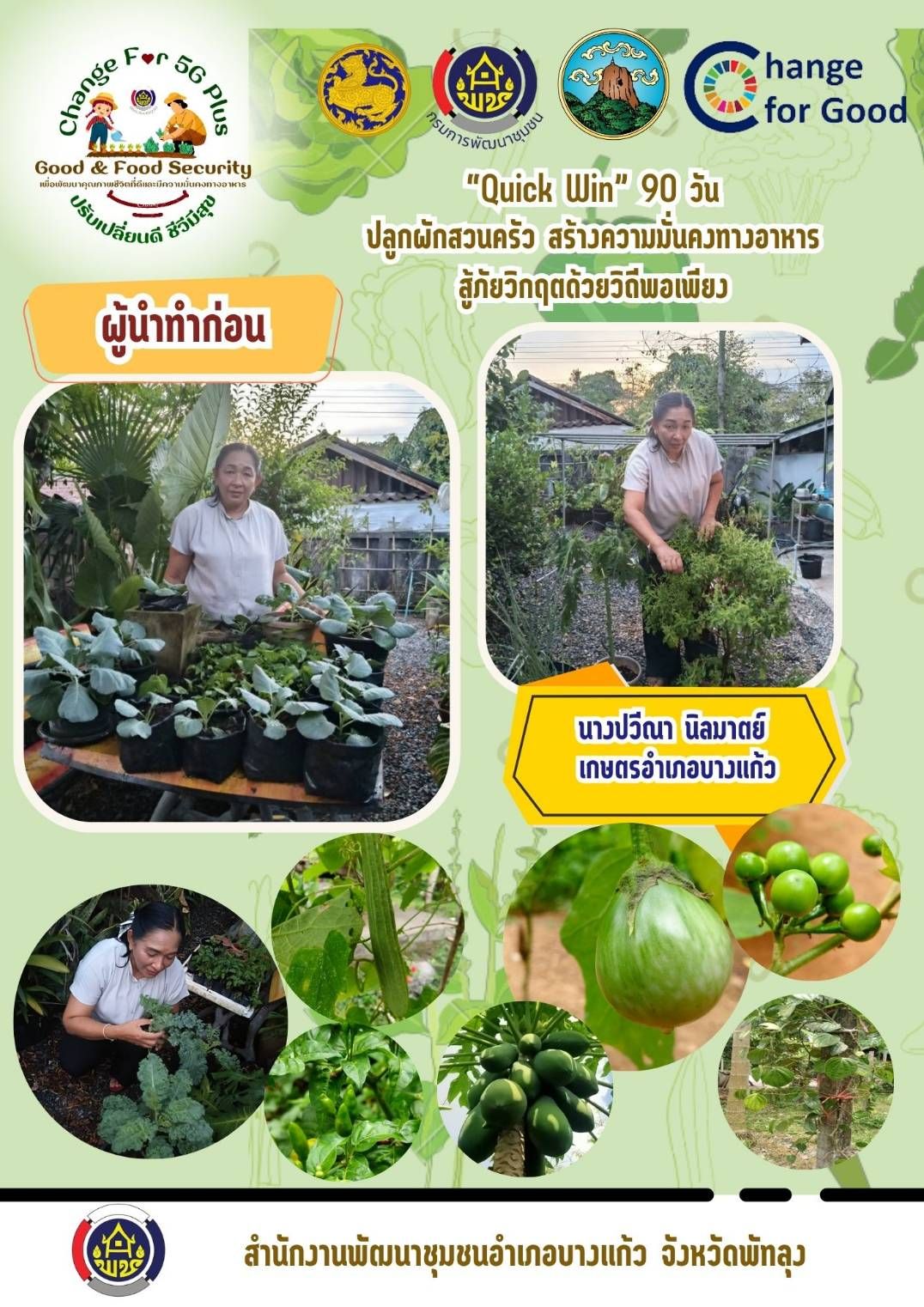  พช. บางแก้ว ขับเคลื่อนกิจกรรม “เริ่มที่ตัวเรา” ปฏิบัติการ "Quick Win" 90 วัน ปลูกผักสวนครัว เพื่อสร้างความมั่นคงทางอาหาร สู้ภัยวิกฤต ด้วยวิถีพอเพียง 