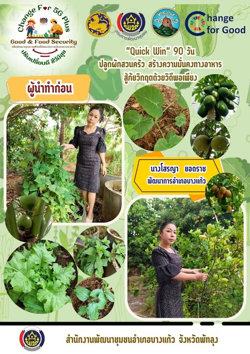 พช. บางแก้ว ขับเคลื่อนกิจกรรม “เริ่มที่ตัวเรา” ปฏิบัติการ "Quick Win" 90 วัน ปลูกผักสวนครัว เพื่อสร้างความมั่นคงทางอาหาร สู้ภัยวิกฤต ด้วยวิถีพอเพียง 